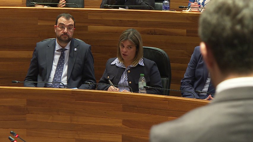 El Parlamento Asturiano Pide Al Gobierno Que Ejecute Con Urgencia El