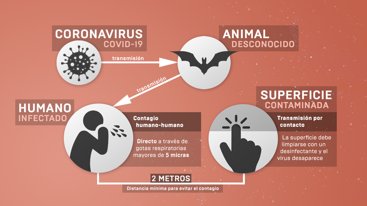 Gráfico explicativo de cómo se contagia el coronavirus