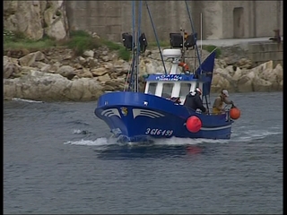 Barco pesquero