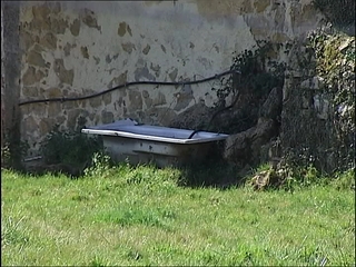 Baneras en el campo asturiano