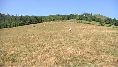 Asturias está viviendo un verano muy seco. 