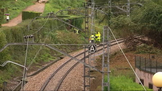 Lugar donde fue encontrado el niño muerto junto a la maleza (La Argañosa, Oviedo) 