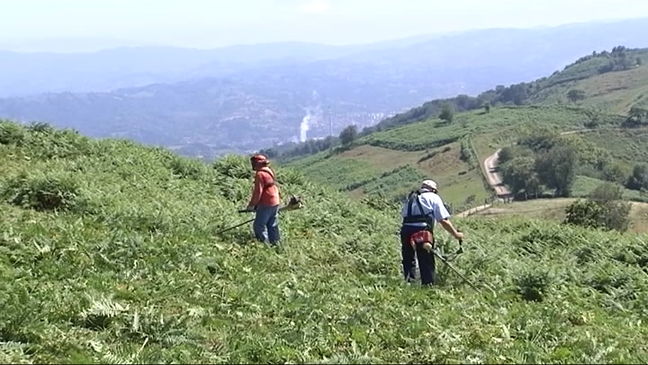 Vecinos limpian la maleza en el Monte La Teyerona