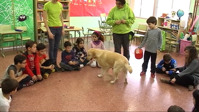 Perro de la terapia emocional en Allande