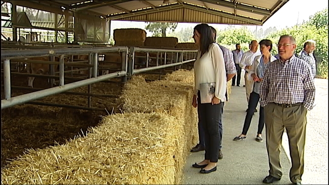  Ares se compromete a promocionar la carne asturiana dentro de la Marca España