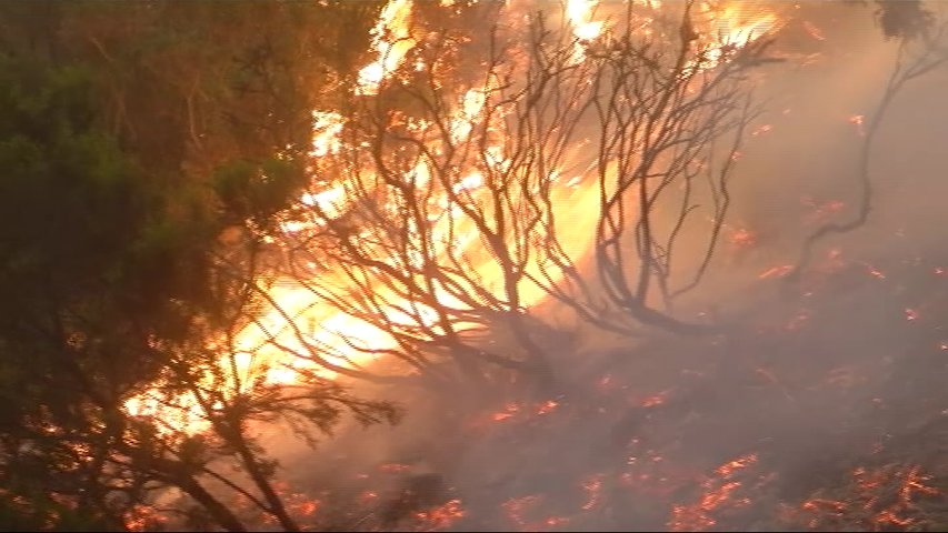 Asturias pedirá ser zona catastrófica por los incendios 