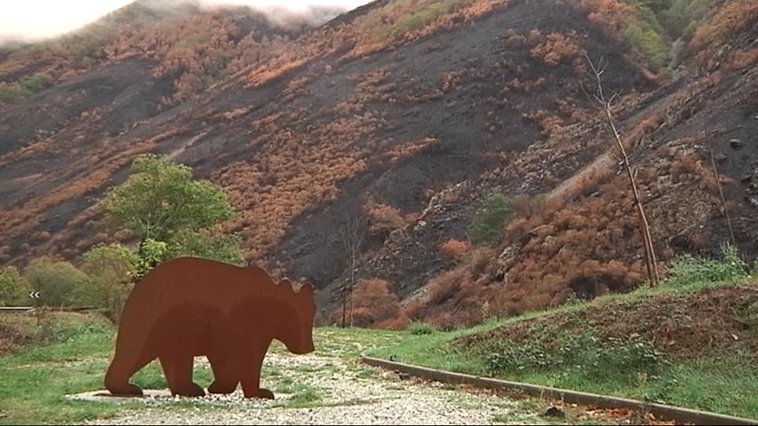 Monte calcinado por las llamas