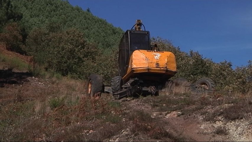 Efectos de los incendios en Cangas del Narcea del mes de octubre