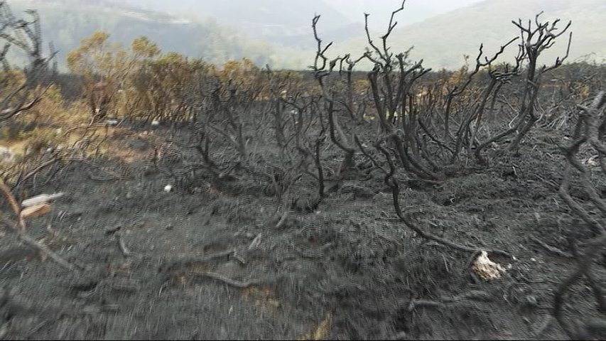 Terreno calcinado