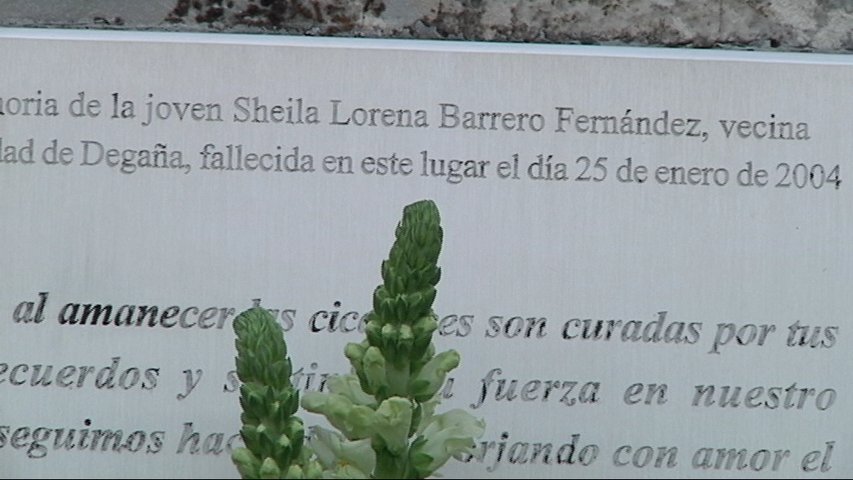    Se cumplen 14 años de la muerte violenta de Sheila Barrero