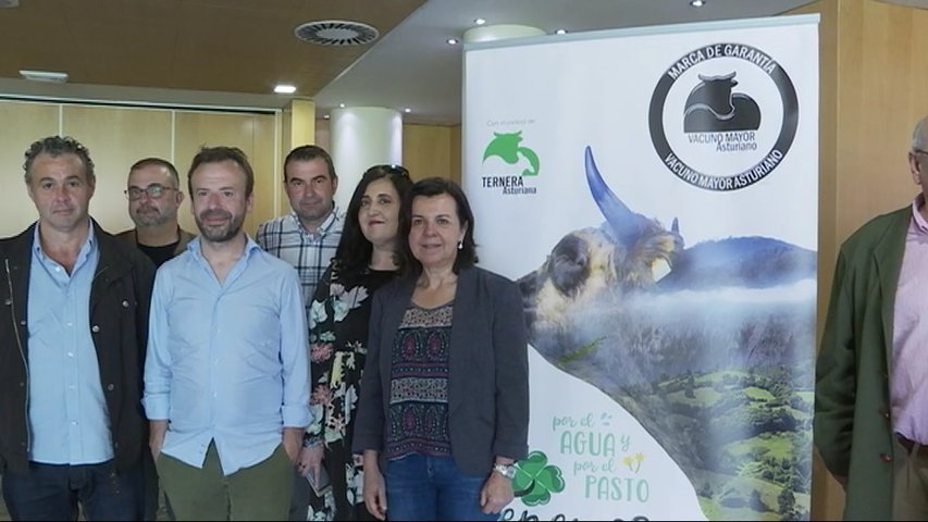 IGP Ternera Asturiana - Vacuno Mayor Asturiano