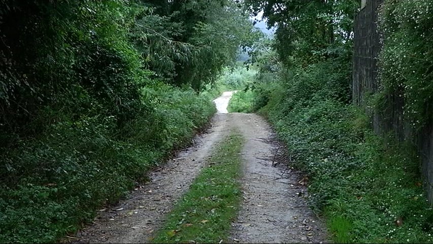 Lugar del asesinato de Javier Ardines