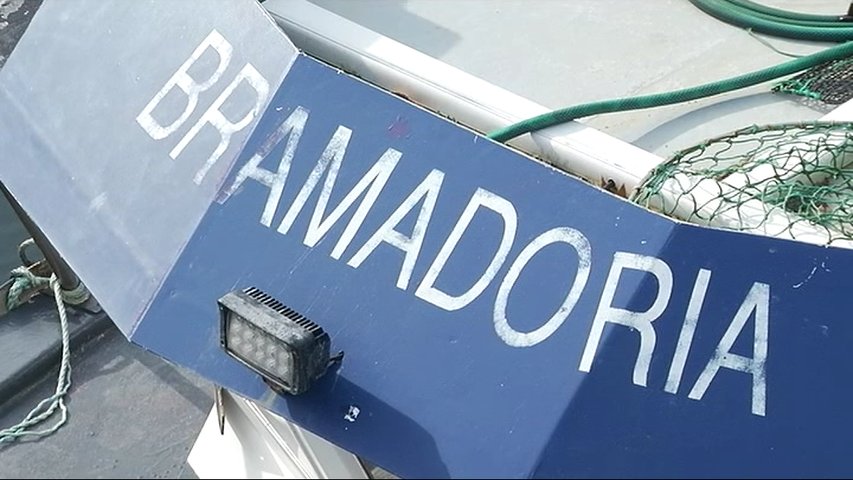 Barco Bramadoira de Javier Ardines