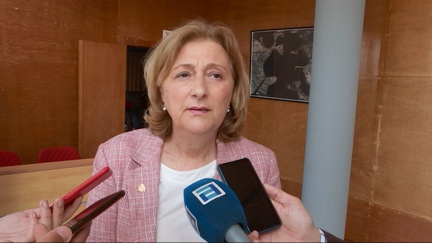 La delegada del Gobierno, Delia Losa