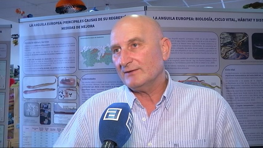 Salvador Fernández, patrón mayor de la cofradía de pescadores de Cudillero