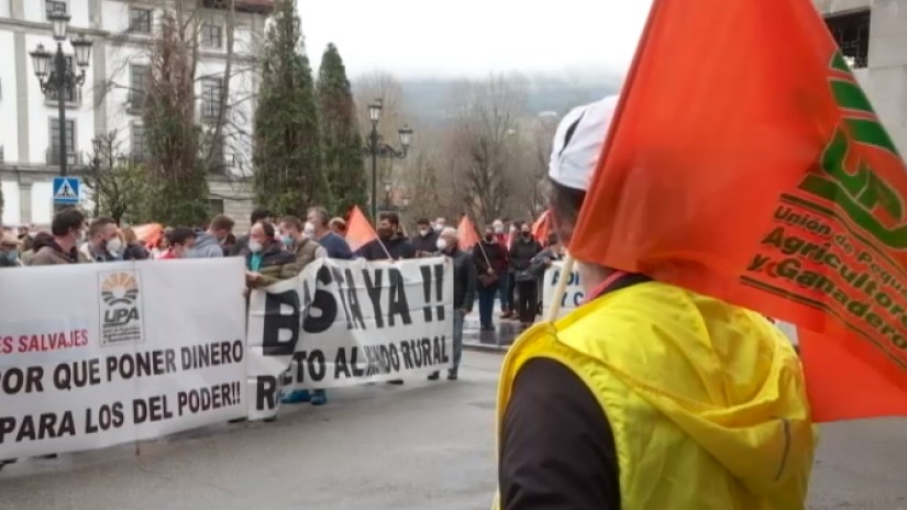 UCA rechaza la protección al lobo que 'viola' los derechos de los ganaderos