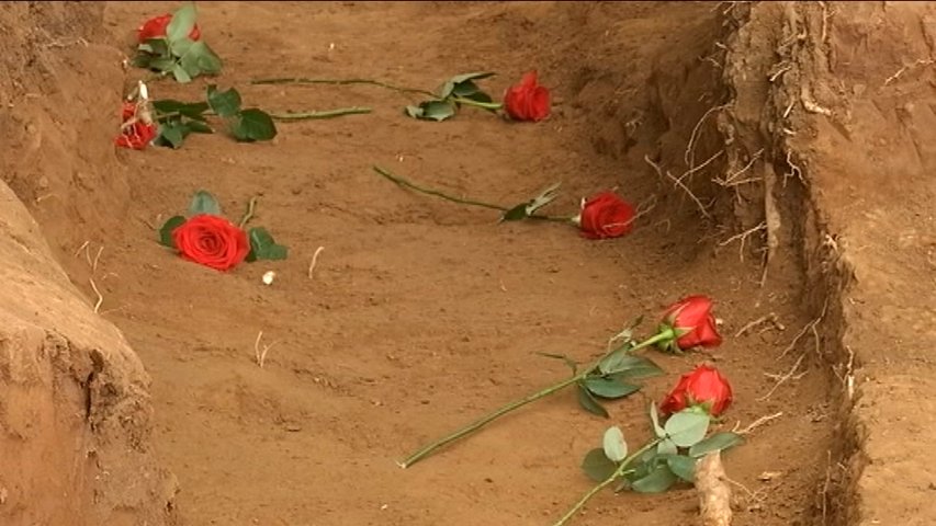 Rosas rojas en la fosa exhumada de El Rellán, en Grado