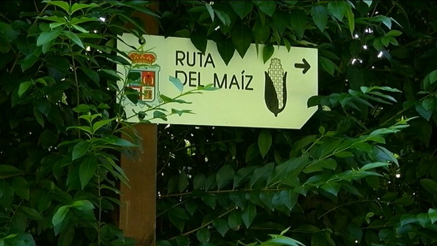 La ruta del maíz, un recorrido paisajístico que también permite conocer elementos del pasado