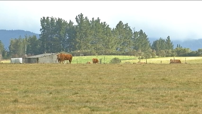 Campos secos en Grandas de Salime