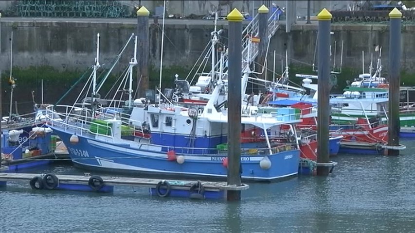 Incertidumbre entre los pescadores ante el inicio de la costera de la xarda