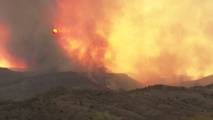 El abandono de los montes y el cambio climático, causantes de los grandes incendios