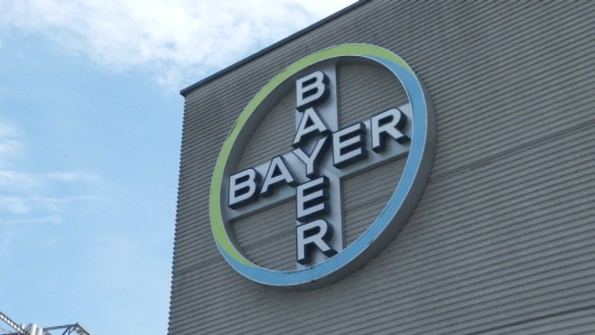 La planta de Bayer en Asturias cumple 80 años