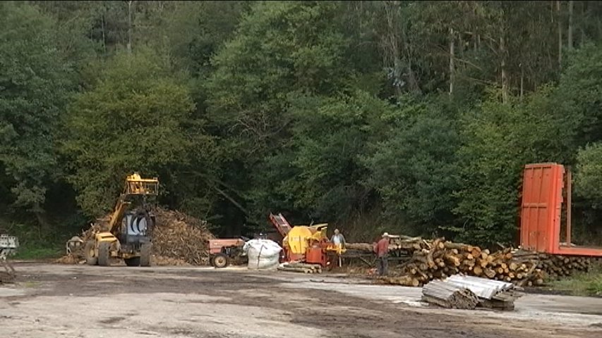 Un aserradero de madera en Asturias