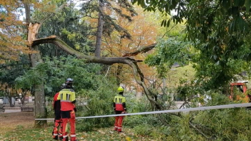 Béatrice pone en alerta a 12 comunidades por viento, lluvia y oleaje