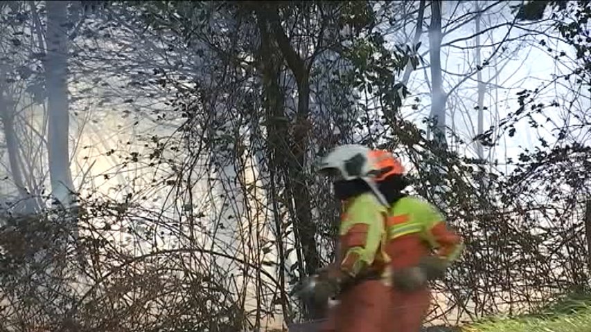 La Fiscal Superior de Asturias abre diligencias por la oleada de incendios