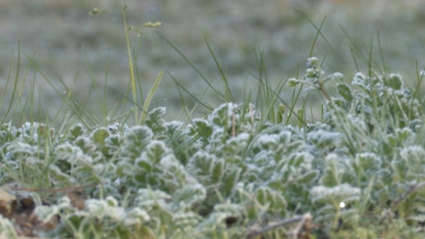 Llega el frío invernal