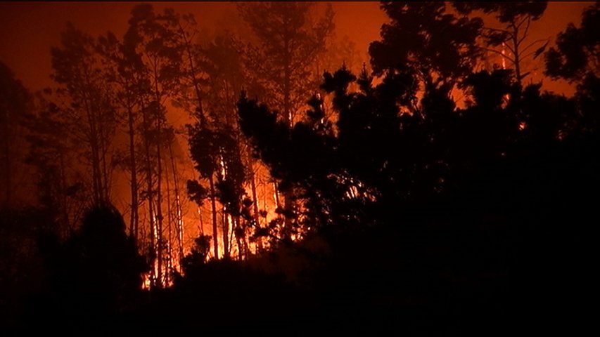 La ola de incendios en Asturias, entre los eventos climáticos extremos de 2023, según Greenpeace