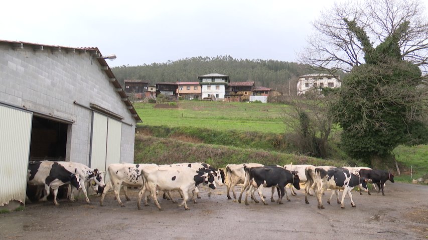 Ganadería asturiana