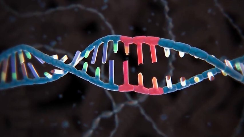 La tecnología CRISPR permite tratar enfermedades raras