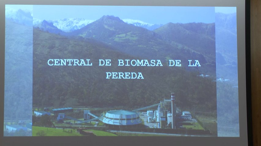 Proyecto de la central de biomasa de La Pereda