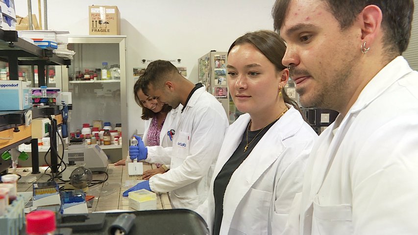 Estudiantes de EE.UU realizan prácticas de investigación en la Facultad de Químicas