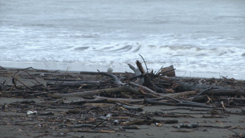 Greenpeace advierte del riesgo de retroceso y de erosión en la costa asturiana