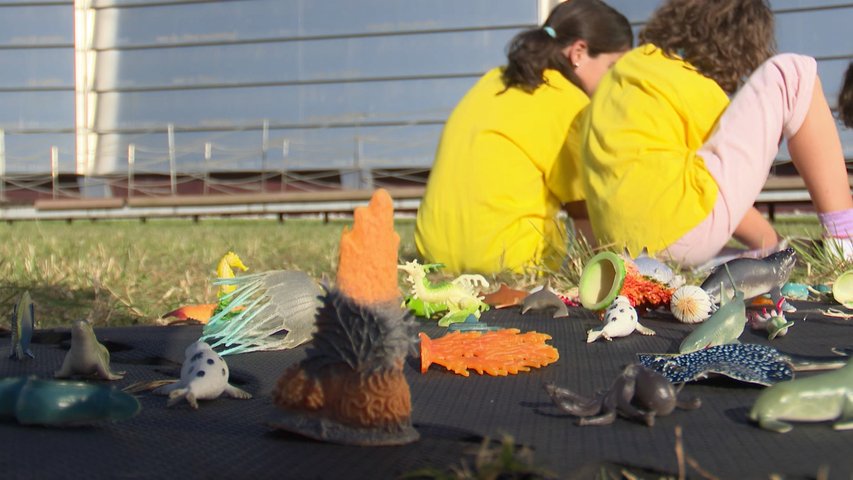 El Acuario de Gijón desarrolla actividades en el ámbito de la educación medioambiental