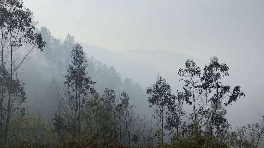 Greenpeace lanza una campaña para luchar contra los bulos en torno a los incendios forestales 