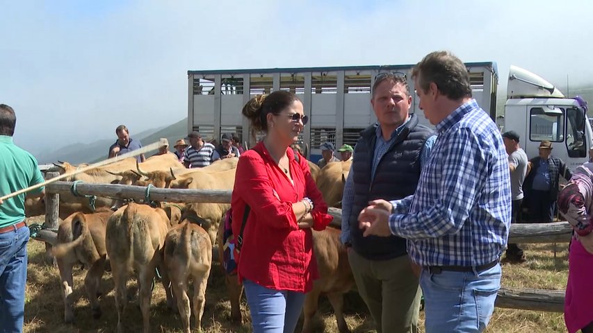 Ganaderos y agricultores verán incrementados los anticipos de la PAC a partir de septiembre