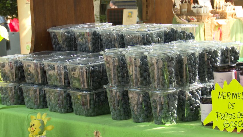 Arranca con buenas sensaciones la Feria del Arándano y los Frutos Rojos de Villaviciosa