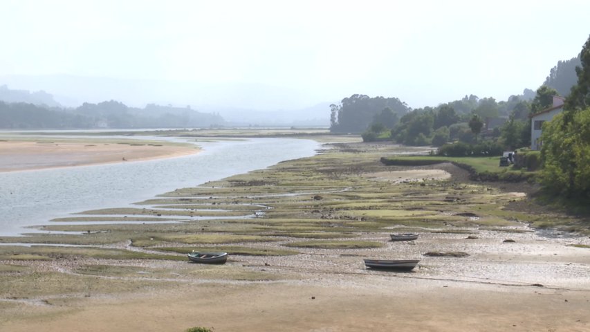 El proyecto para instalar un criadero de almejas en la ría de Villaviciosa no va dirigido a consumo humano directo