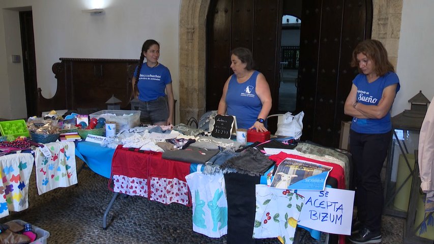 Másquechuchos ha organizado este domingo un mercadillo solidario en Oviedo