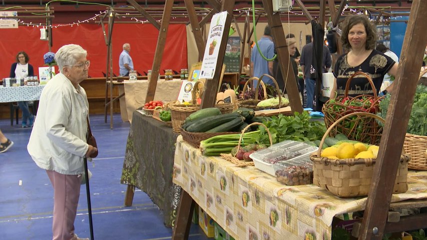 Vegadeo celebra la Feria 'ECO21' de productos ecológicos y desarrollo sostenible