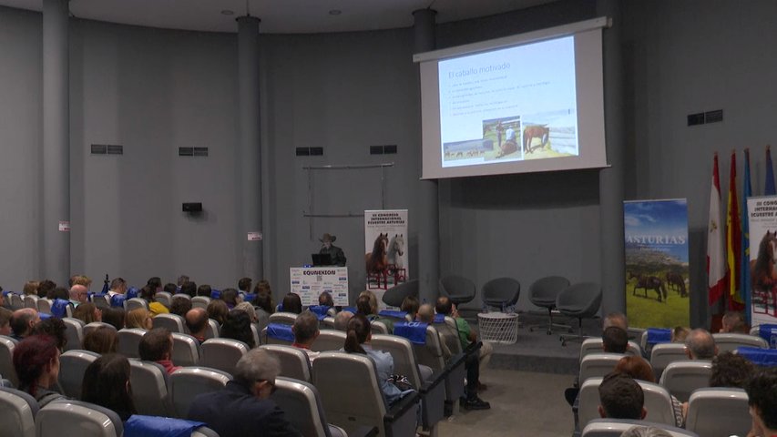 Congreso Internacional Ecuestre en Gijón