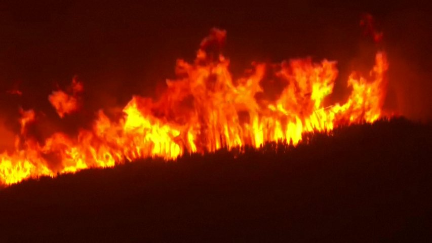 Otros 130 efectivos de la UME llegan a Portugal para luchar contra los fuegos que aún están muy activos