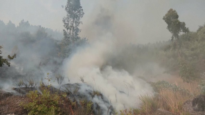 Mejora la situación de los incendios que queman 95.000 hectáreas y dejan 5 muertos en Portugal