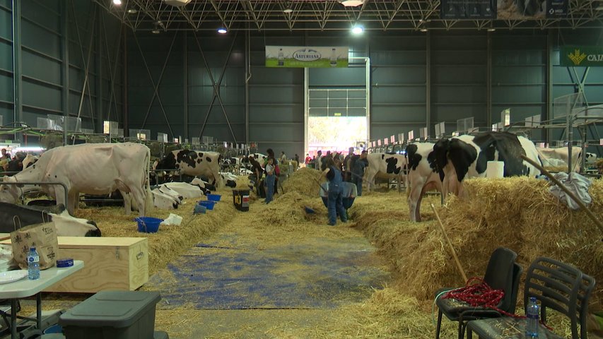 Agropec muestra lo mejor del campo