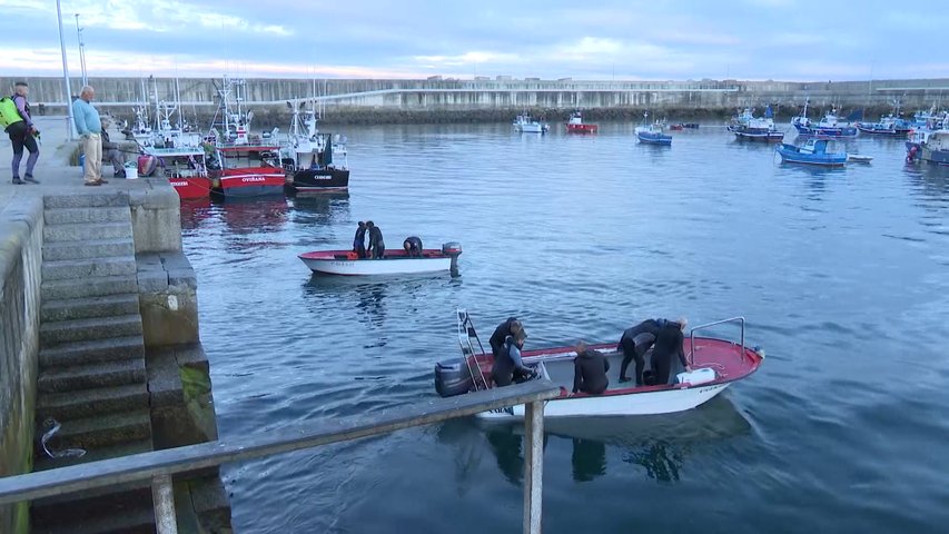 Pescadores lanzándose a la mar en la campaña de extracción del percebe