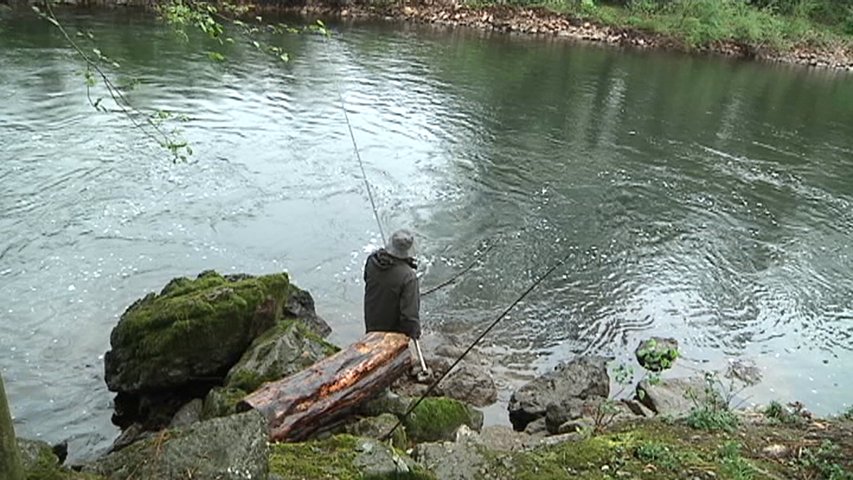 Un pescador pesca salmón en un río asturiano